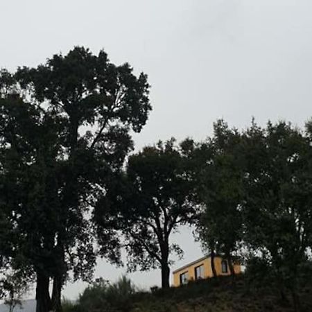 Вилла Refugio Do Sobreiro Кабесейраш-ди-Башту Экстерьер фото